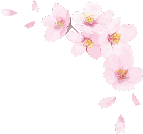 sakura
