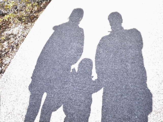 共働き夫婦、お子様１人